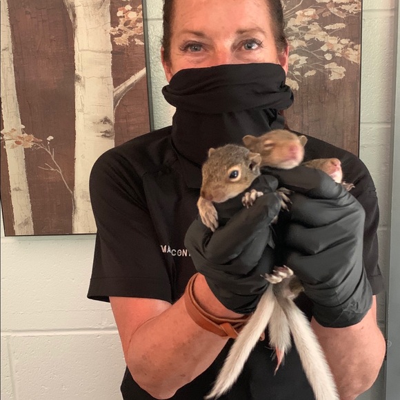 Meet your Posher, Diane - Picture 3 of 6